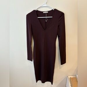 NWOT Zara Long Sleeve Fitted Dress